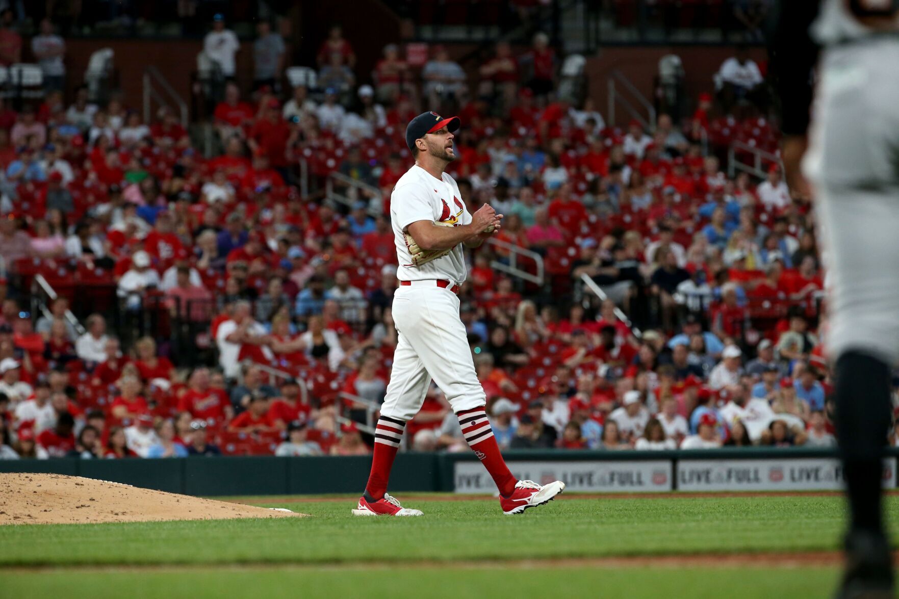St. Louis Cardinals V San Francisco Giants